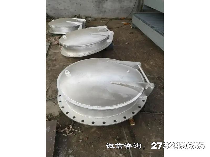 防止洪水倒灌不锈钢拍门