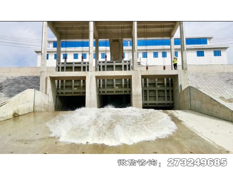 应急排涝泵站闸门