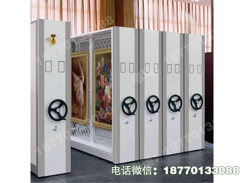 汉中美术馆油画网架密集架