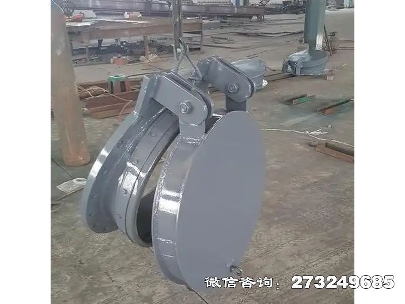 铸铁圆形净化水质拍门