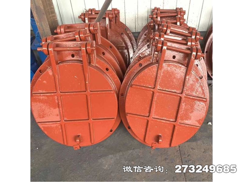 歙县铸铁圆形抗冲击拍门