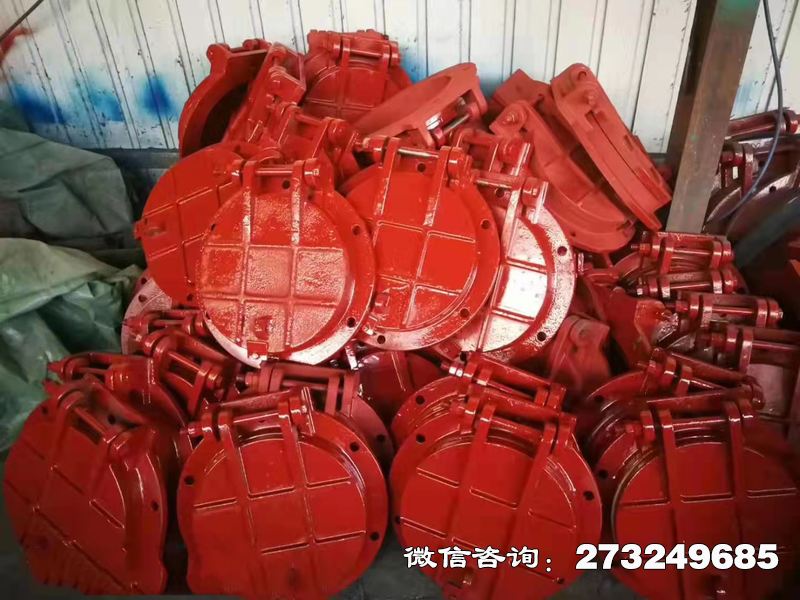 歙县铸铁圆形泵站拍门